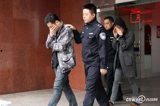 十一个嫌疑人,一场错综复杂的悬疑大案