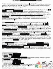 酷刑报告,酷刑报告深度解析