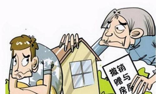 不法岳父母,家庭纷争背后的惊人真相